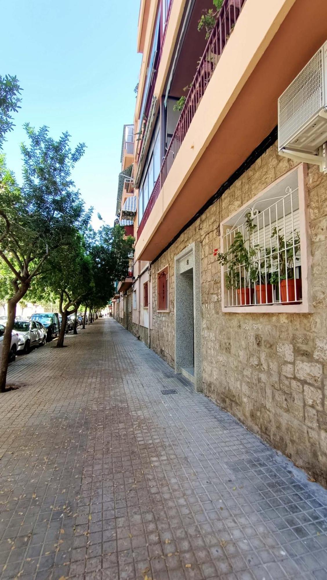Visitando A Mijail Lägenhet Alicante Exteriör bild